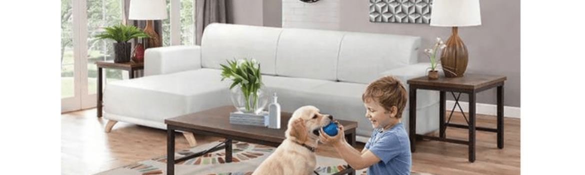 Kaip išsirinkti baldus, jei namuose yra vaikų ar augintinių?