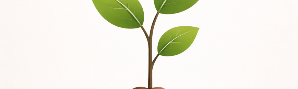 Čia augs iniciatyvos galerija