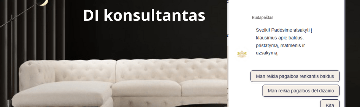 Baldų parduotuvės „Budapeštas“ DI konsultantas