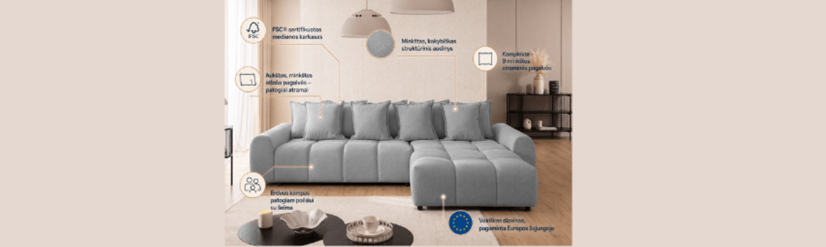 Kaip išsirinkti minkštus baldus, kad jie tarnautų ilgai?