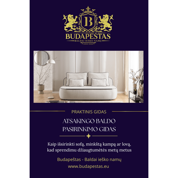 Nemokama knyga: Atsakingo baldo pasirinkimo gidas